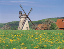 Minden